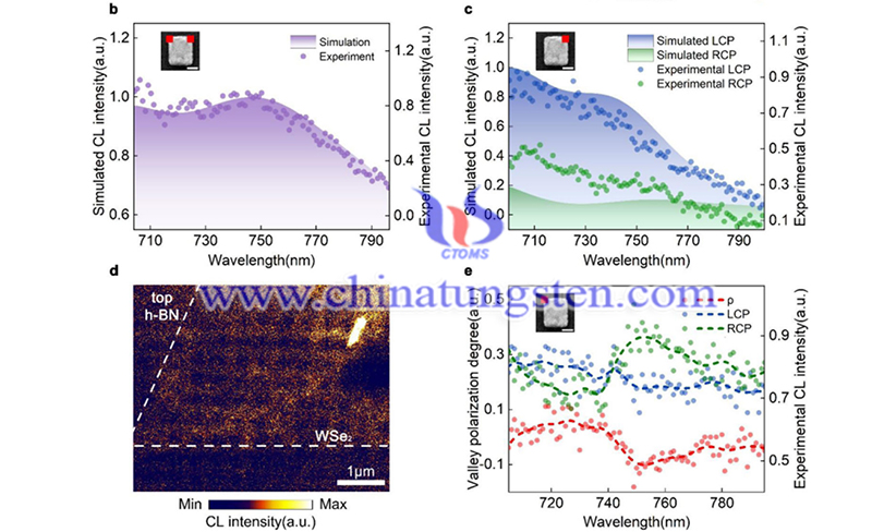 Characterization of the sample and excitation of the valley polarization image